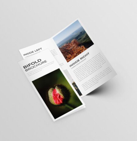 Custom Flyers & Leaflets (Brochures)