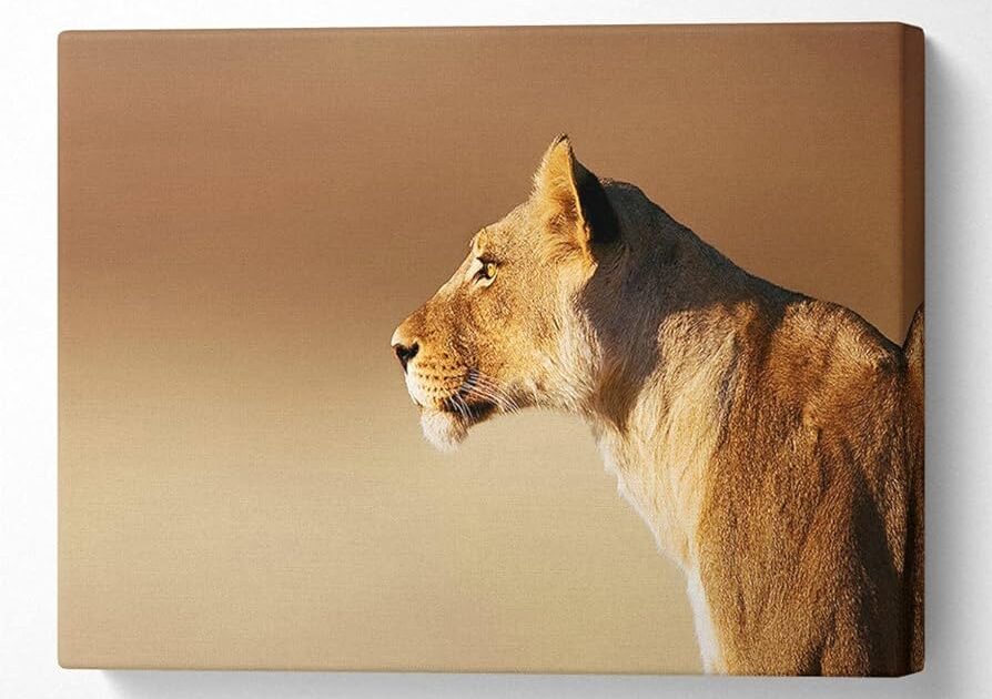 Canvas Prints Calgary
